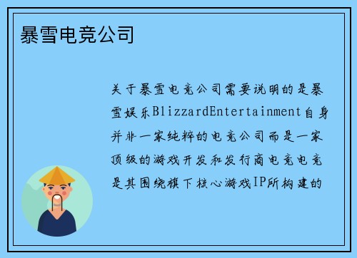 暴雪电竞公司